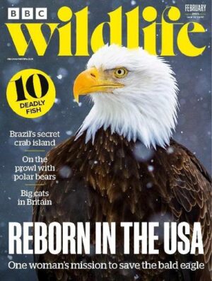 BBC Wildlife